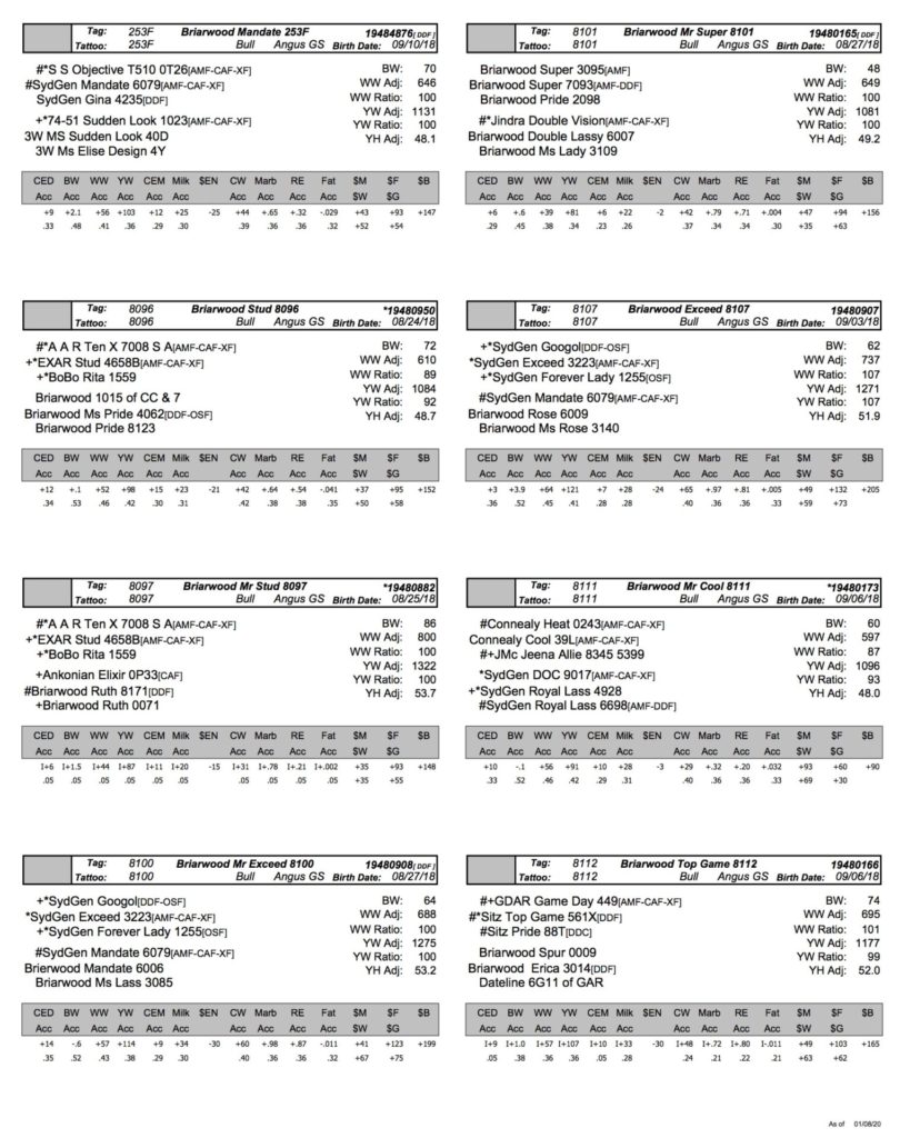 Bull Data | Briarwood Angus Farms